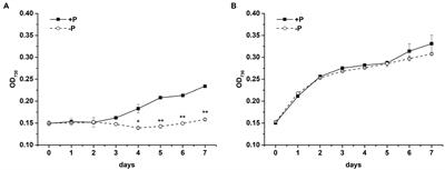 Comparison of photosynthetic responses between haptophyte Phaeocystis globosa and diatom Skeletonema costatum under phosphorus limitation